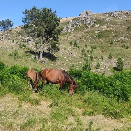 Vendégház Cantinho Oliveiras 3*